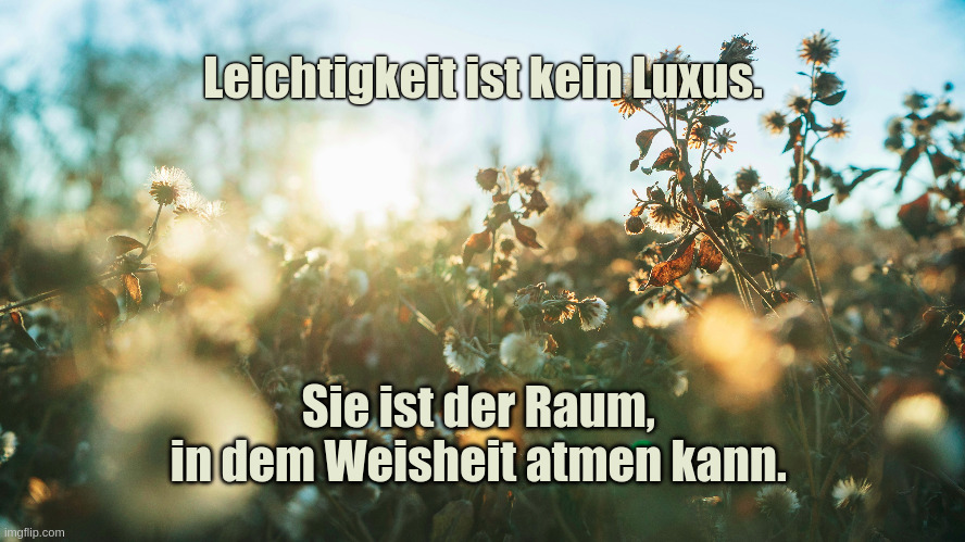 Duplikat von Leichtigkeit und Weisheit: Wie Stille unsere innere Kraft weckt